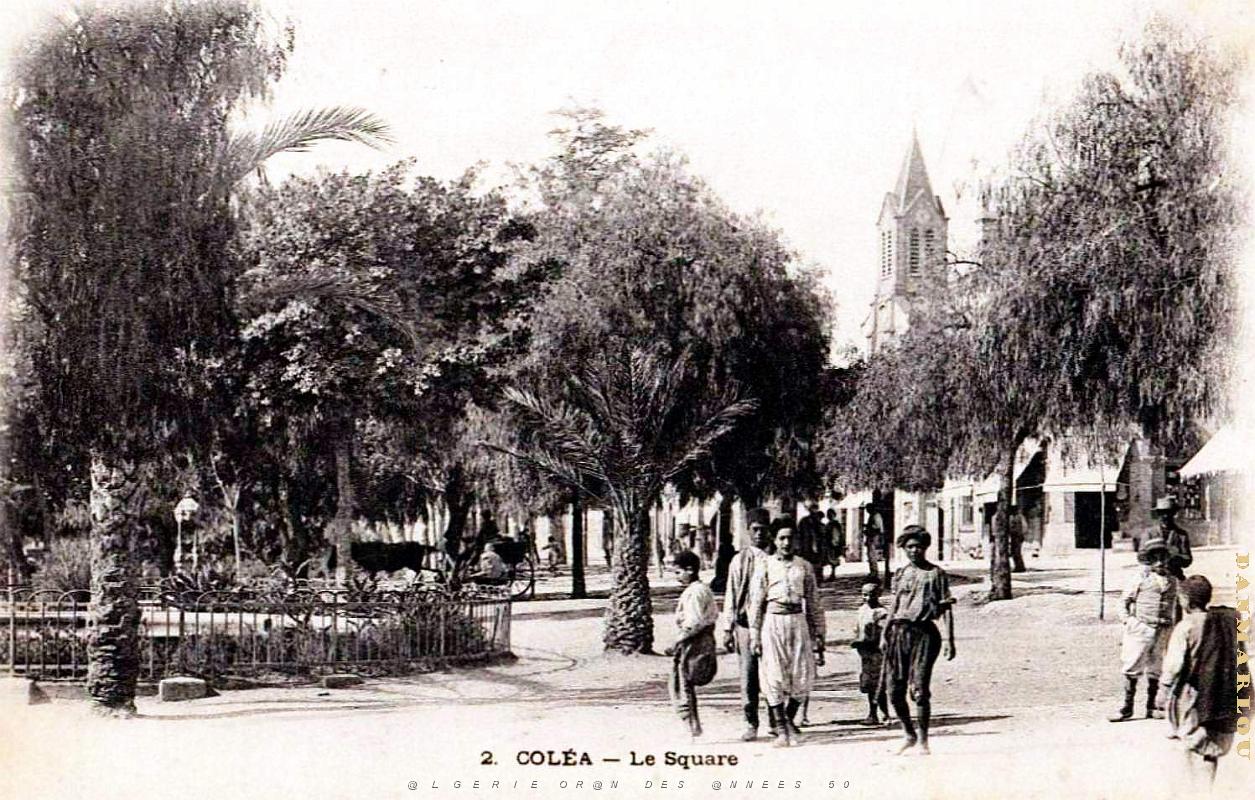 Colea - Square.jpg